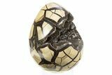 Septarian Dragon Egg Geode - Black Crystals #304617-1